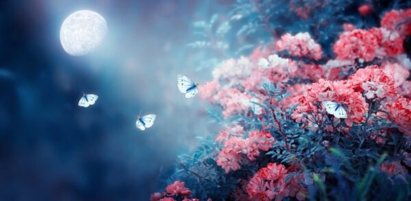 Peinture murale Lune et Fleurs Roses