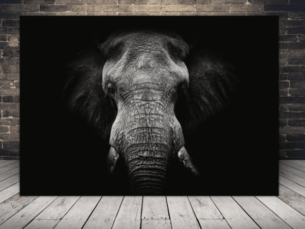 Une image d'un portrait d'un éléphant