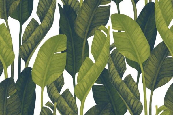 Peinture murale Feuilles vertes tropicales