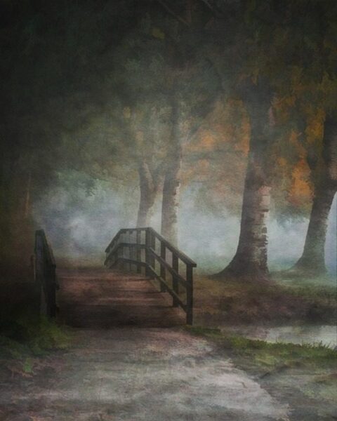 Peinture murale Pont dans le parc