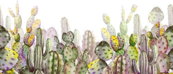 Peinture murale Plantation de cactus