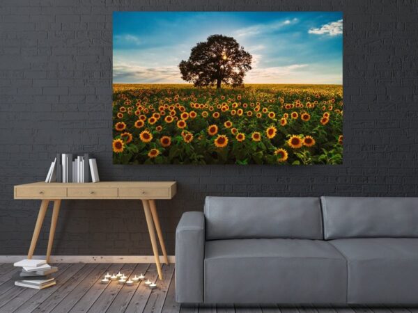 Une image d'une mer de tournesols – Image 2