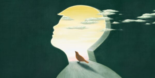 Une image d'un garçon et d'un oiseau – Image 2
