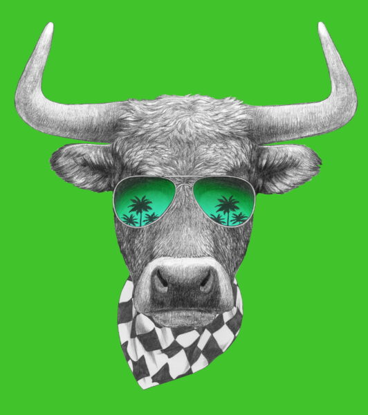 Image d'un taureau sur fond vert – Image 2