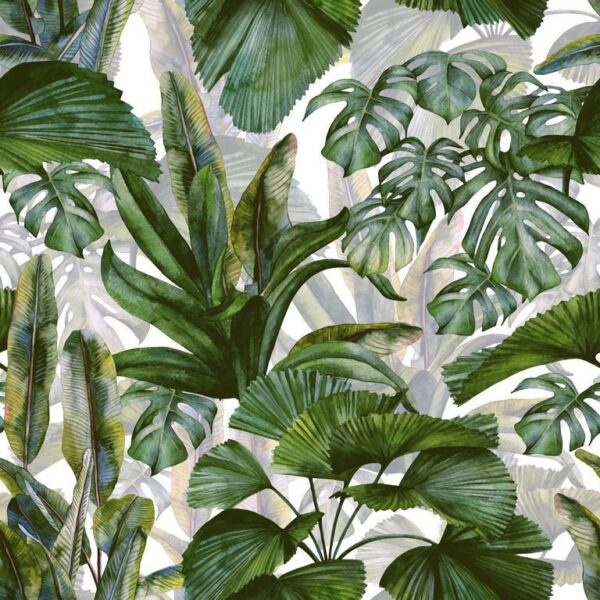 Sticker mural Feuilles sur fond blanc