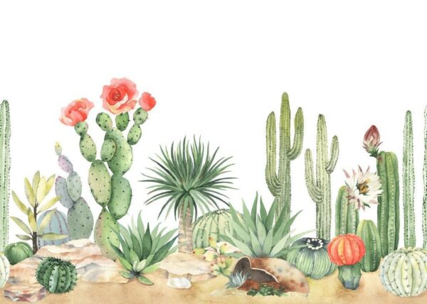 Peinture murale Cactus dans le désert