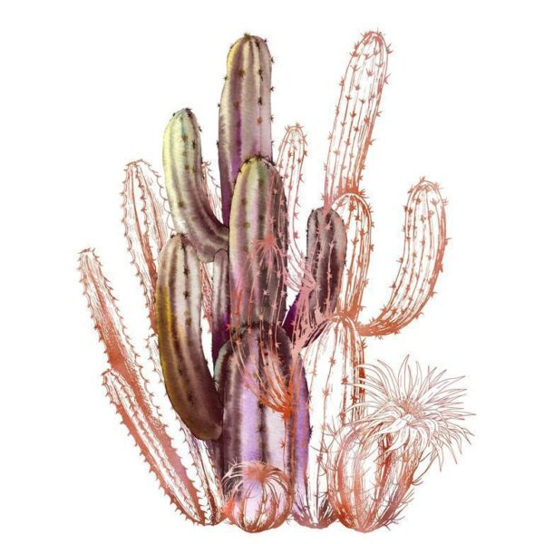 Peinture murale Cactus sur fond blanc