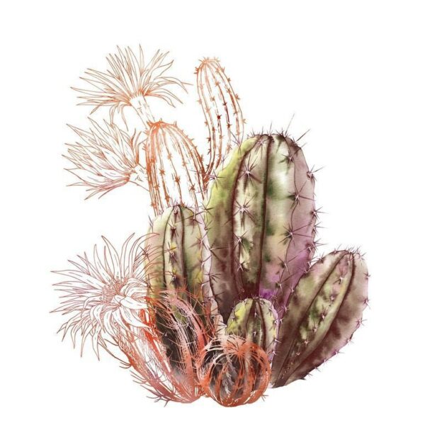 Peinture murale Cactus en fleurs