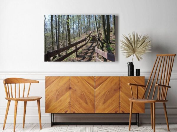 Une image d'un escalier forestier – Image 2