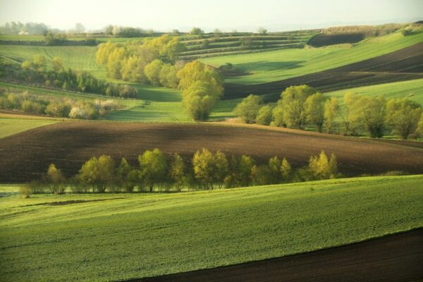Peinture de paysage de printemps – Image 3
