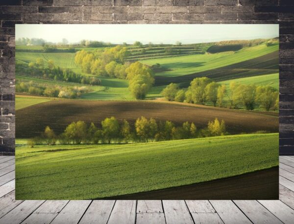 Peinture de paysage de printemps