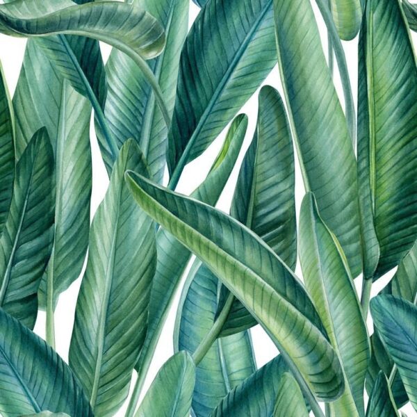 Sticker mural Fond Tropical