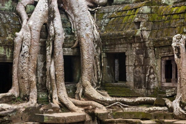 Image d'un temple à Angkor – Image 3