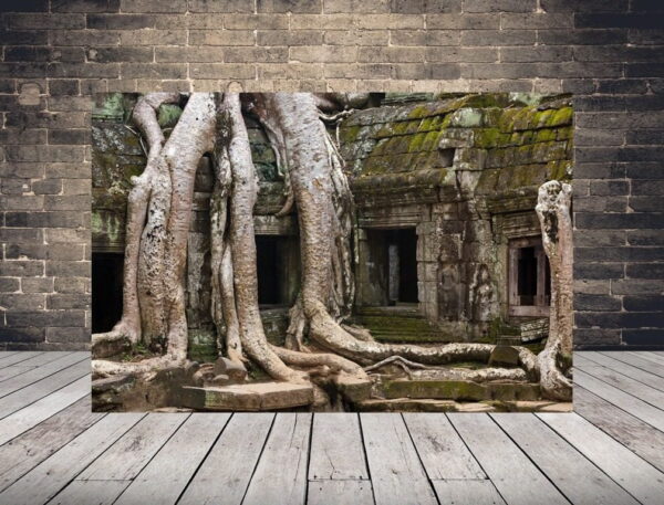 Image d'un temple à Angkor