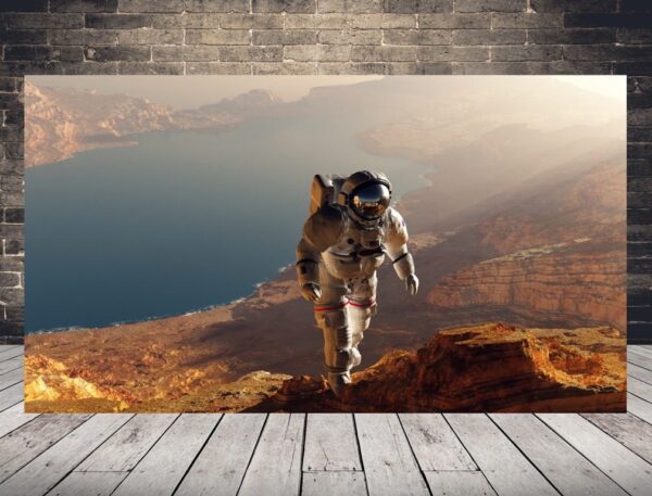 Une image de l'ascension de l'astronaute