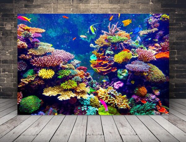 Image de miracles sous-marins