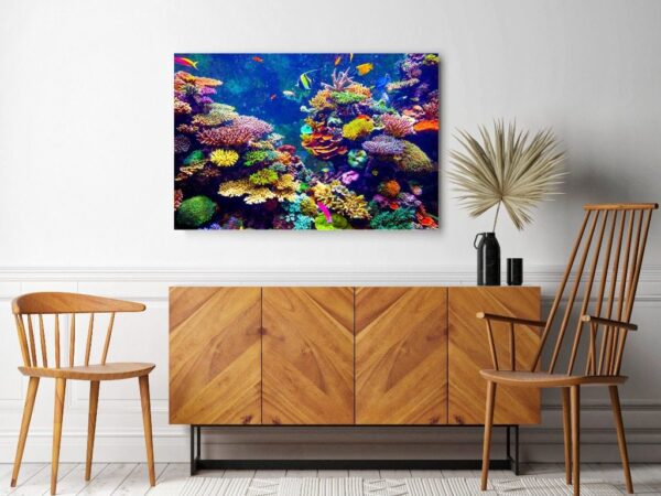 Image de miracles sous-marins – Image 2