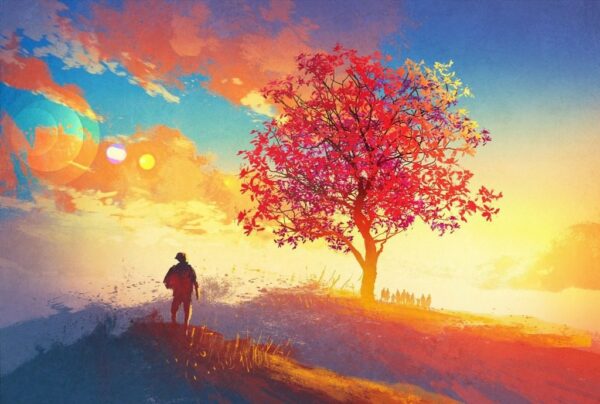 Image du vagabond et de l'arbre – Image 3