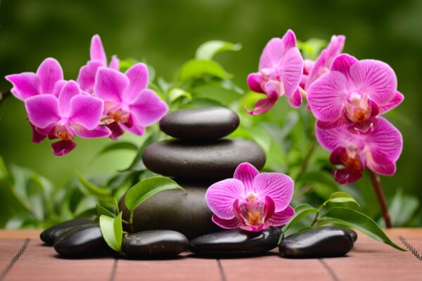 Une image d'orchidées roses – Image 2