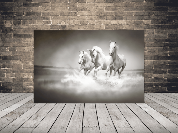 Image de chevaux dans l'eau