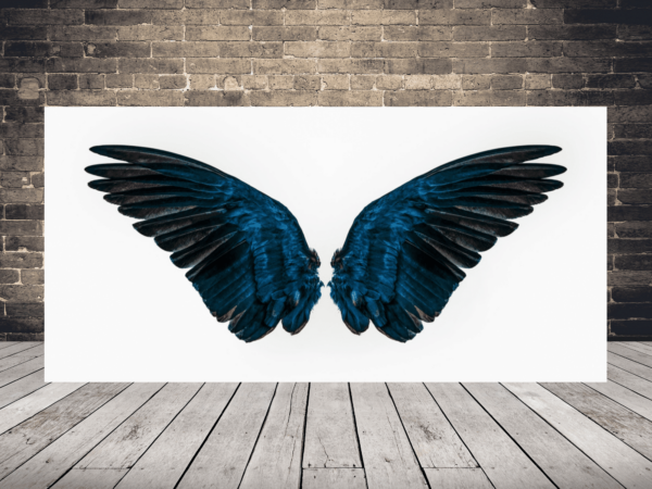 Image d'ailes d'ange