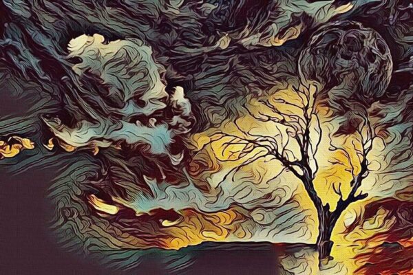 Une image d'un arbre en feu – Image 2