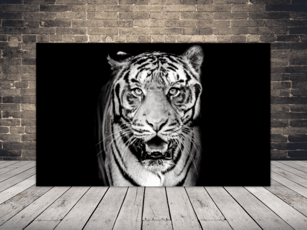 Une image d'un tigre souriant