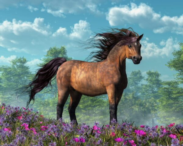 Image du cheval et du vent – Image 2