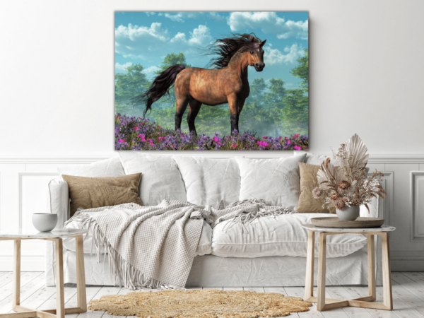 Image du cheval et du vent – Image 3