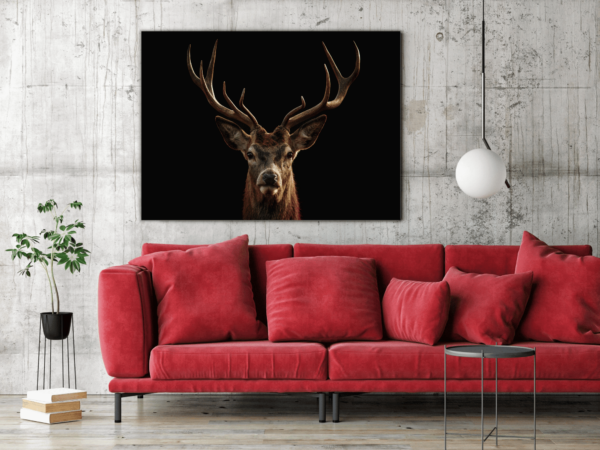 Une image d'un cerf fier – Image 3