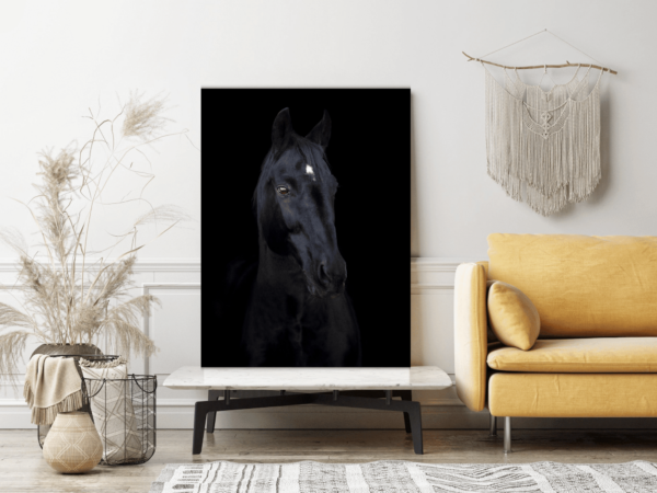 Image d'un cheval avec une tache blanche – Image 3