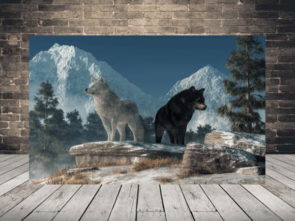 Image de deux loups