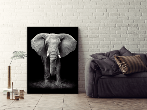 Une image d'un portrait d'un éléphant – Image 3