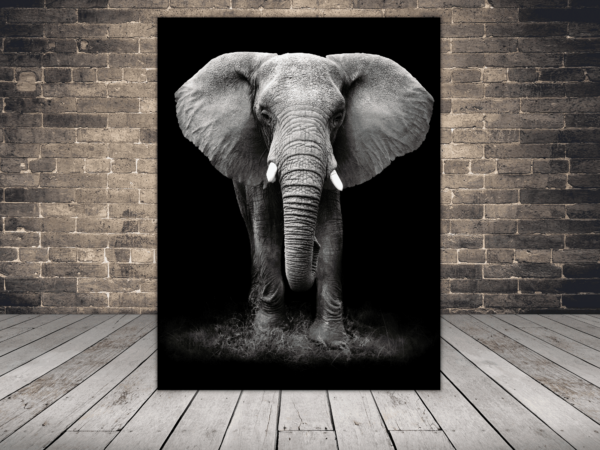 Une image d'un portrait d'un éléphant