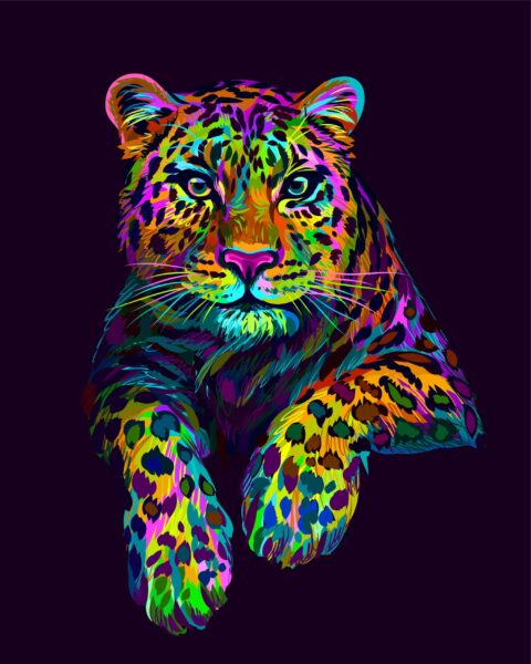Image d'un guépard arc-en-ciel – Image 2