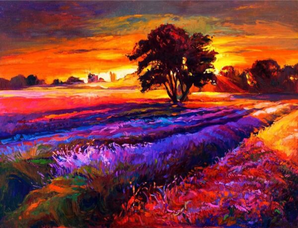 Image d'un champ de lavande au coucher du soleil – Image 2