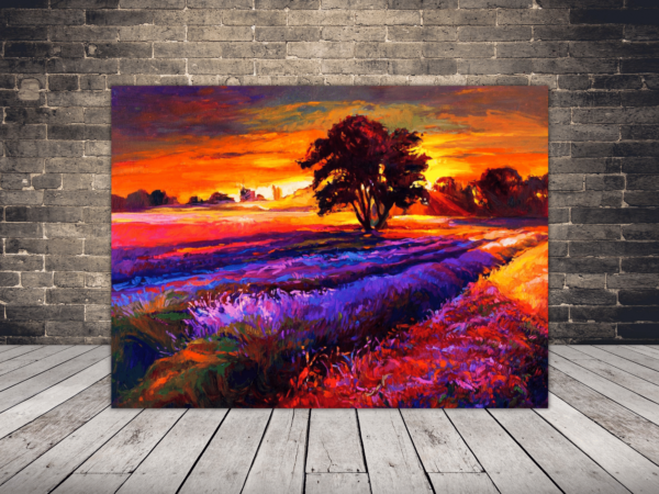 Image d'un champ de lavande au coucher du soleil