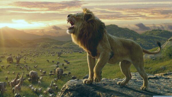 L'image du Roi Lion – Image 2