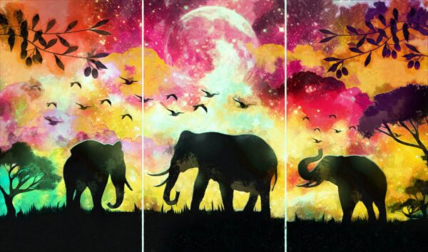 Image d'éléphants errants – Image 2