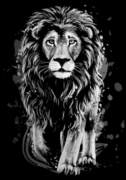 Image d'un lion qui marche – Image 2