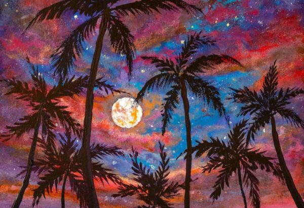 Une image de la lune et des palmiers – Image 2