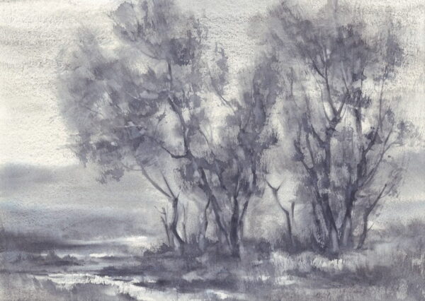 Image d'un arbre gris – Image 2