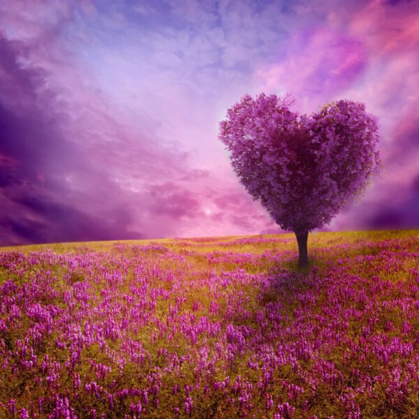 Une image d'un arbre rose – Image 2