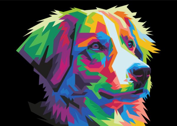Image d'un chien coloré – Image 2