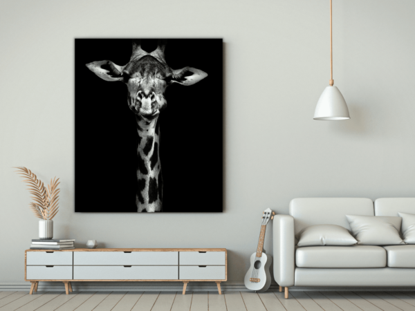 Une image d'une girafe à la recherche – Image 3