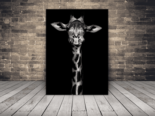 Une image d'une girafe à la recherche