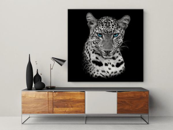Une image d'un guépard aux yeux bleus – Image 3