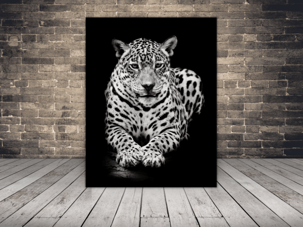 Tableau Guépard Couché