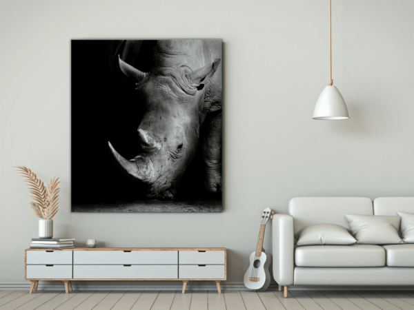 Une image d'un portrait de rhinocéros – Image 3
