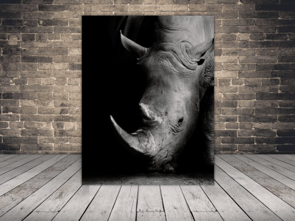 Une image d'un portrait de rhinocéros